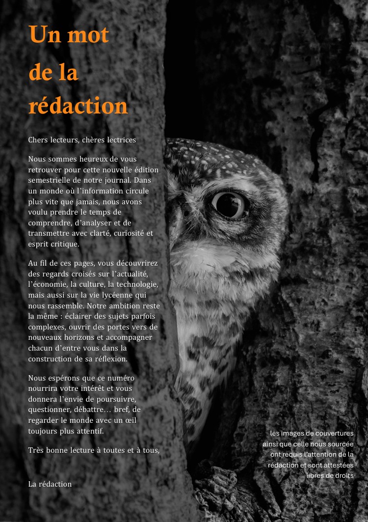 Photo en noir et blanc montrant une chouette